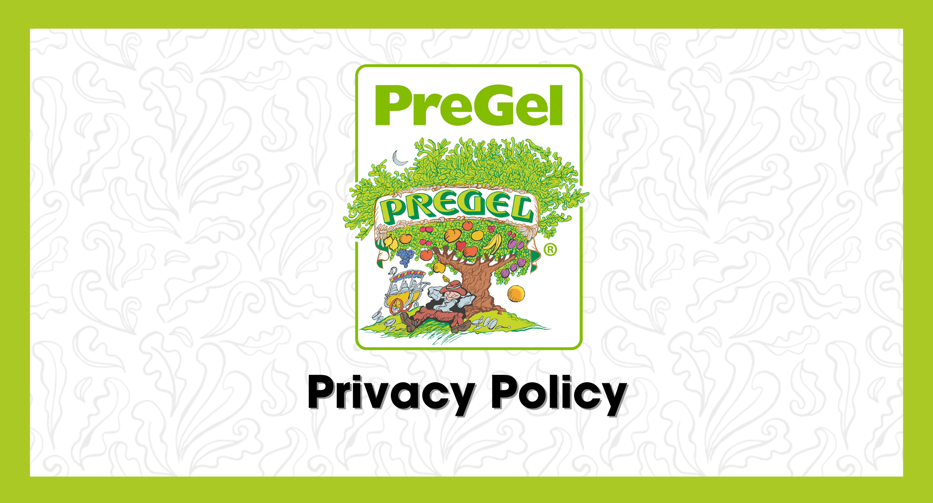 Shipping and Privacy Policy Banner